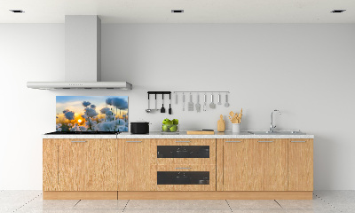 Spatplaat keuken Wolgras