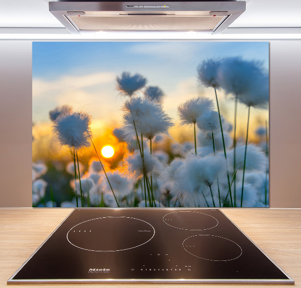 Spatplaat keuken Wolgras