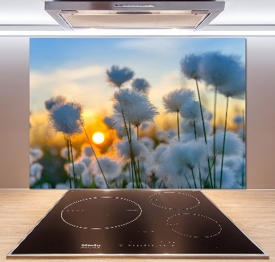 Spatplaat keuken Wolgras
