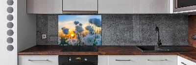 Spatplaat keuken Wolgras
