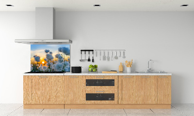 Spatplaat keuken Wolgras