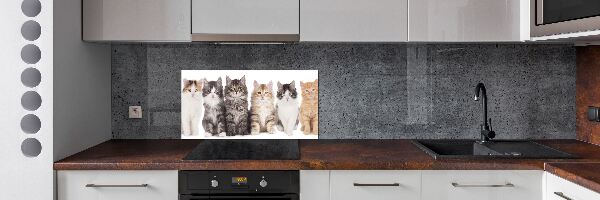 Spatplaat keuken Zes katten