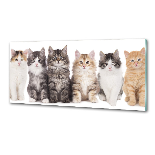 Spatplaat keuken Zes katten