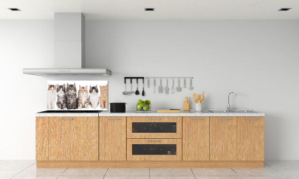 Spatplaat keuken Zes katten