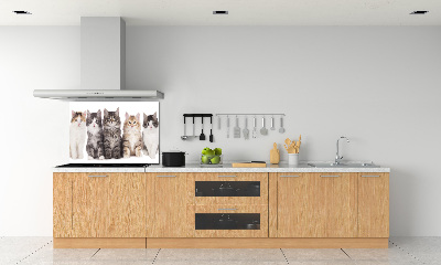 Spatplaat keuken Zes katten