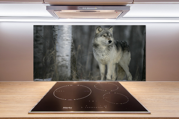 Keuken achterwand Grijze wolf