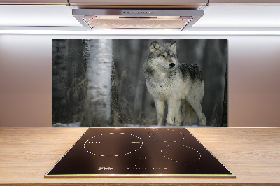 Keuken achterwand Grijze wolf