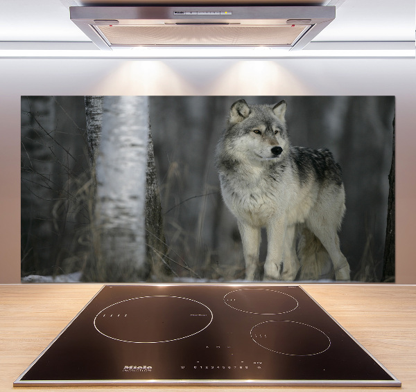 Keuken achterwand Grijze wolf