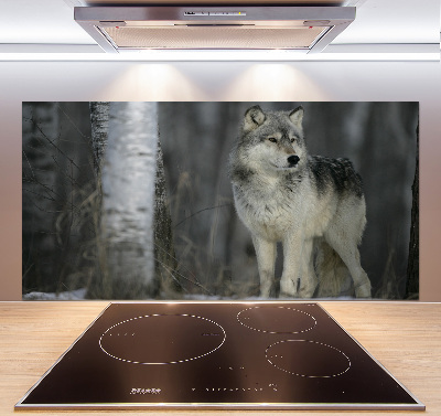 Keuken achterwand Grijze wolf
