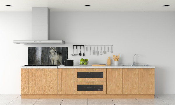 Keuken achterwand Grijze wolf