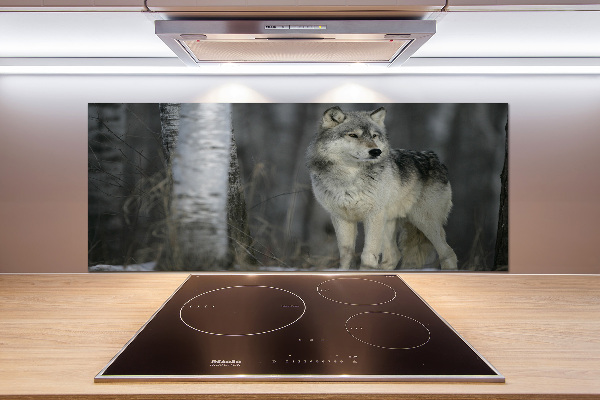 Keuken achterwand Grijze wolf