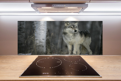 Keuken achterwand Grijze wolf