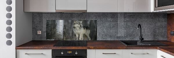 Keuken achterwand Grijze wolf