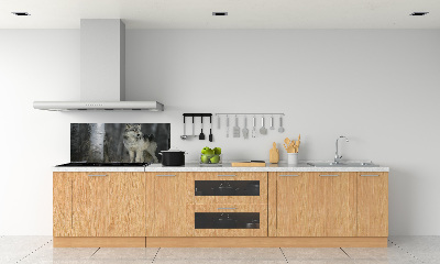 Keuken achterwand Grijze wolf