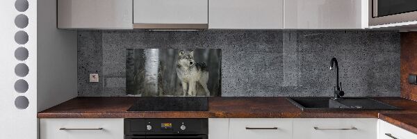 Keuken achterwand Grijze wolf