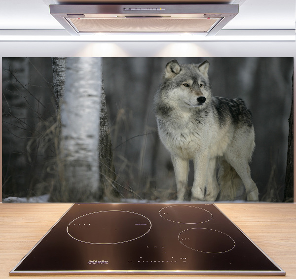 Keuken achterwand Grijze wolf