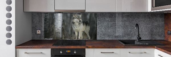 Keuken achterwand Grijze wolf
