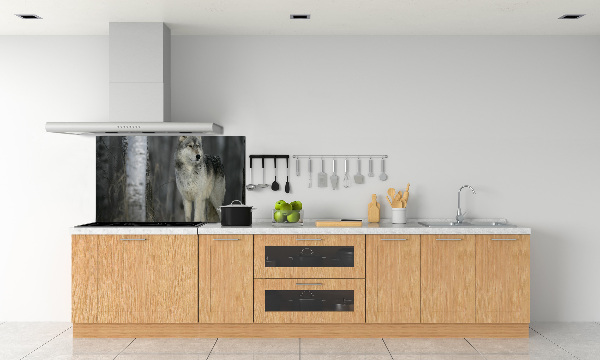 Keuken achterwand Grijze wolf