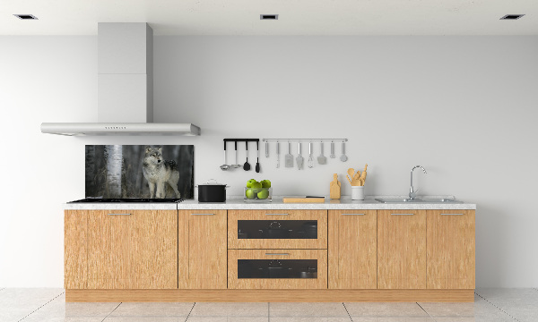 Keuken achterwand Grijze wolf
