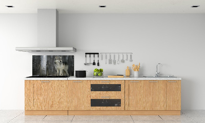 Keuken achterwand Grijze wolf