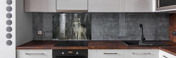 Keuken achterwand Grijze wolf
