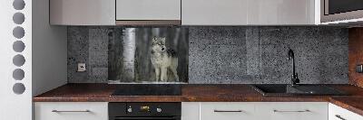 Keuken achterwand Grijze wolf