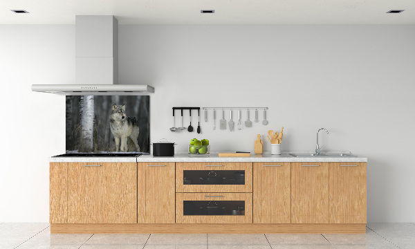 Keuken achterwand Grijze wolf