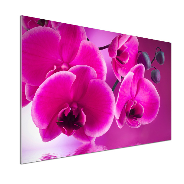 Achterwand keuken Orchidee
