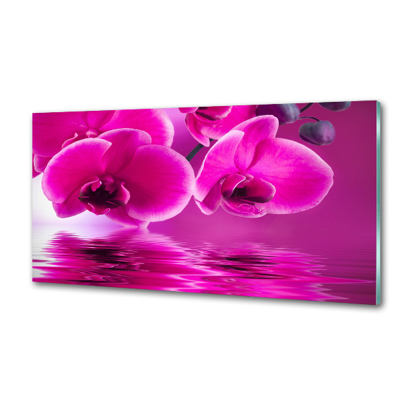 Achterwand keuken Orchidee