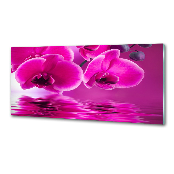 Achterwand keuken Orchidee