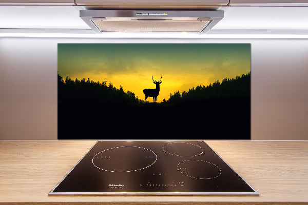 Glazen achterwand keuken Hert