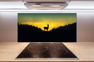 Glazen achterwand keuken Hert