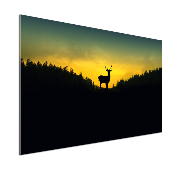 Glazen achterwand keuken Hert