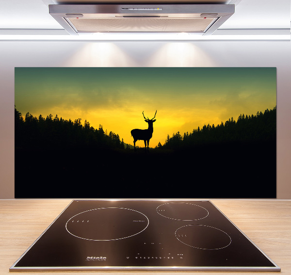 Glazen achterwand keuken Hert