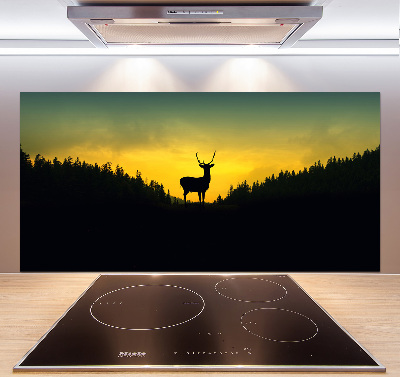 Glazen achterwand keuken Hert