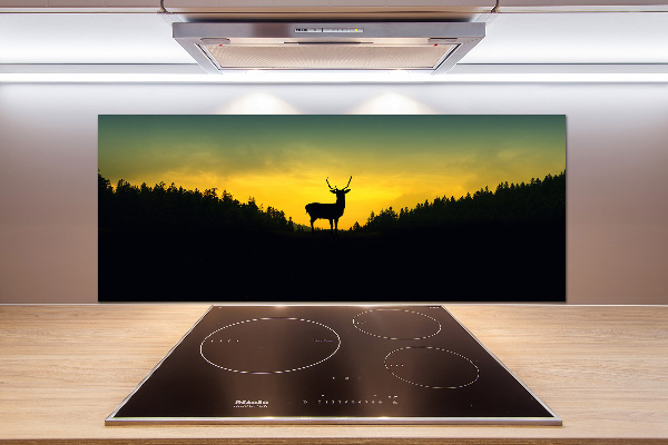 Glazen achterwand keuken Hert
