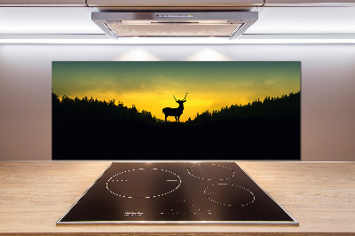 Glazen achterwand keuken Hert