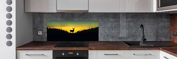 Glazen achterwand keuken Hert