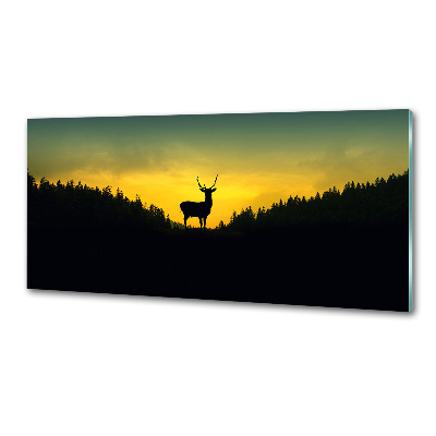 Glazen achterwand keuken Hert