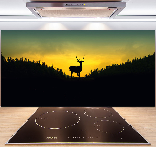 Glazen achterwand keuken Hert