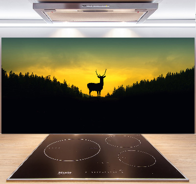 Glazen achterwand keuken Hert