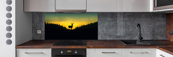 Glazen achterwand keuken Hert