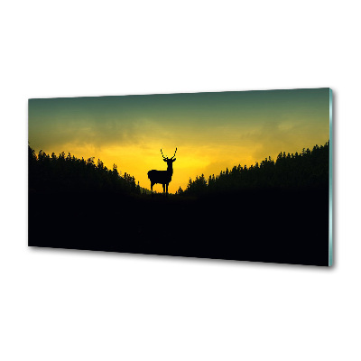 Glazen achterwand keuken Hert