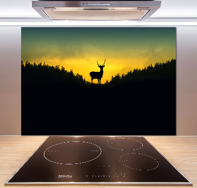 Glazen achterwand keuken Hert