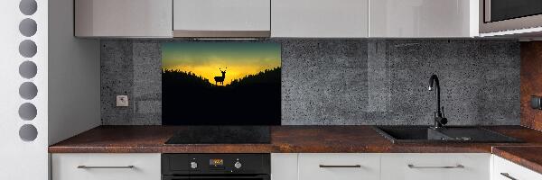 Glazen achterwand keuken Hert