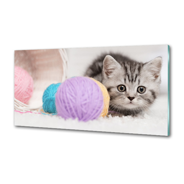 Panel do kuchni Kot z motkami