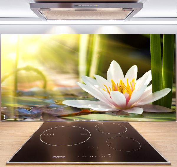 Spatplaat keuken Waterlelie