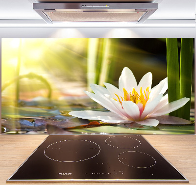 Spatplaat keuken Waterlelie