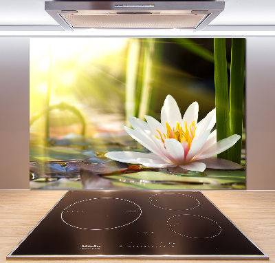 Spatplaat keuken Waterlelie