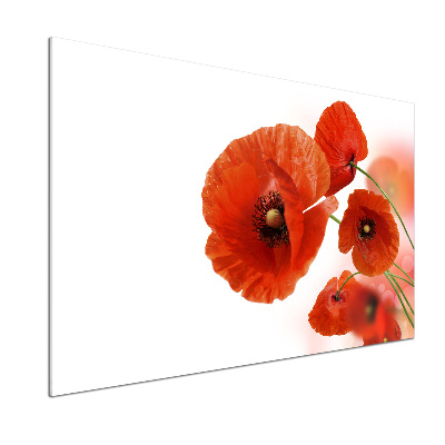 Panel szklany do kuchni Maki